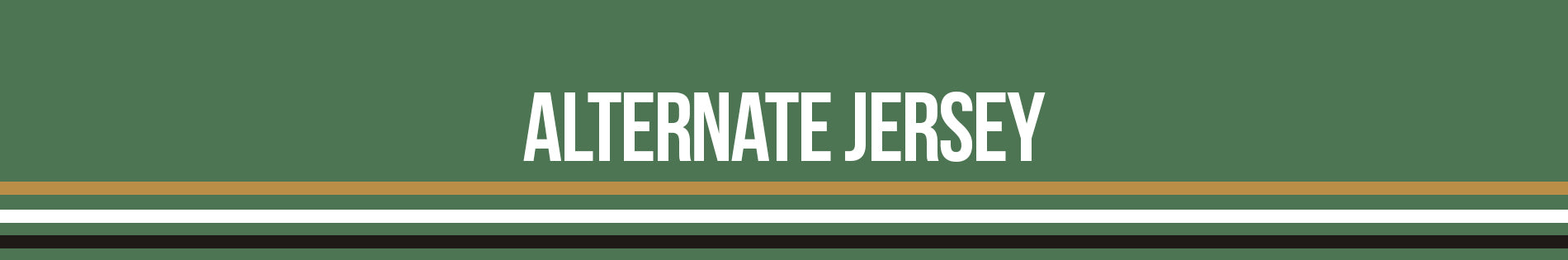 Alternate Jersey