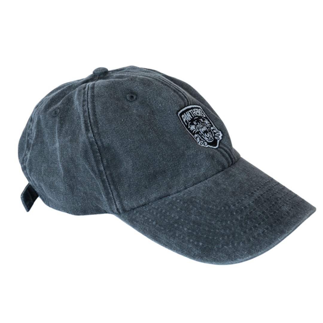 Made To Order Vintage Cotton Panthers Dad Hat Vintage Black