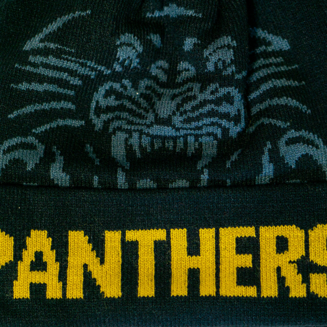 The Panthersland Nottingham Panthers 25-25 Charcoal Crest Pom Knit is a black beanie with a gray snarling panther graphic above bold yellow PANTHERS lettering.