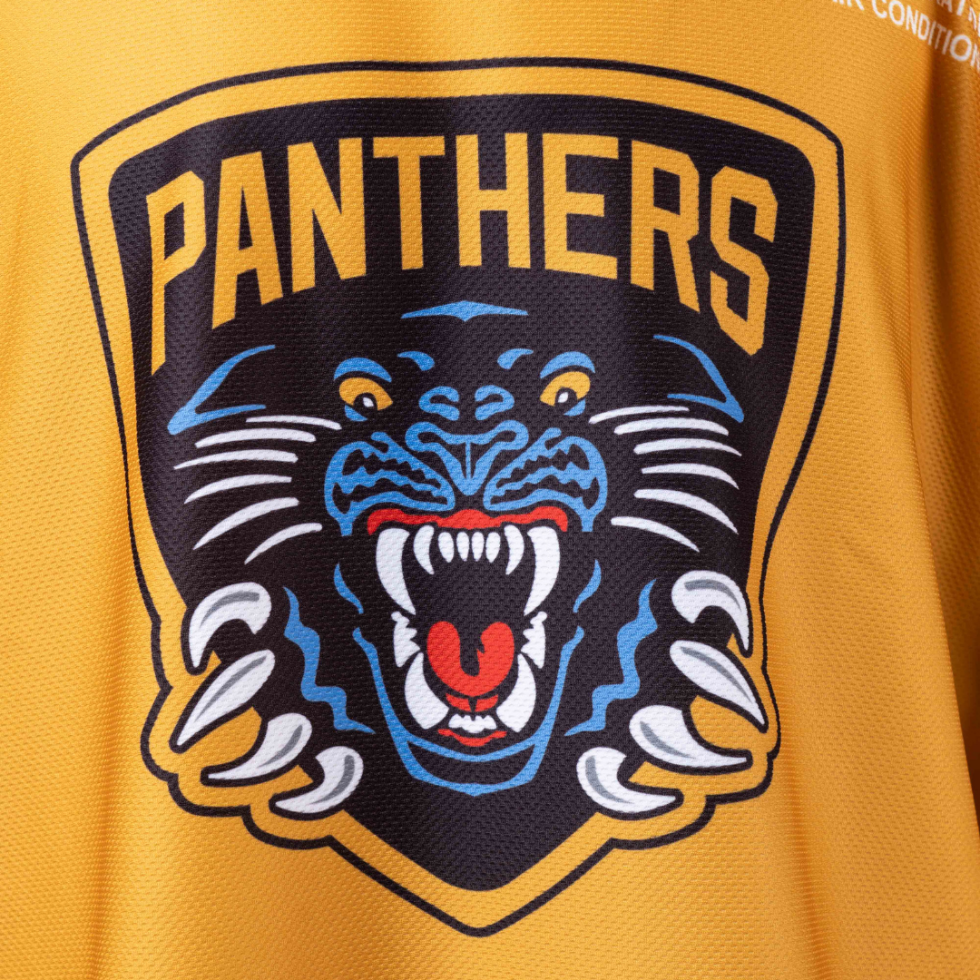 Panthers jersey shop online