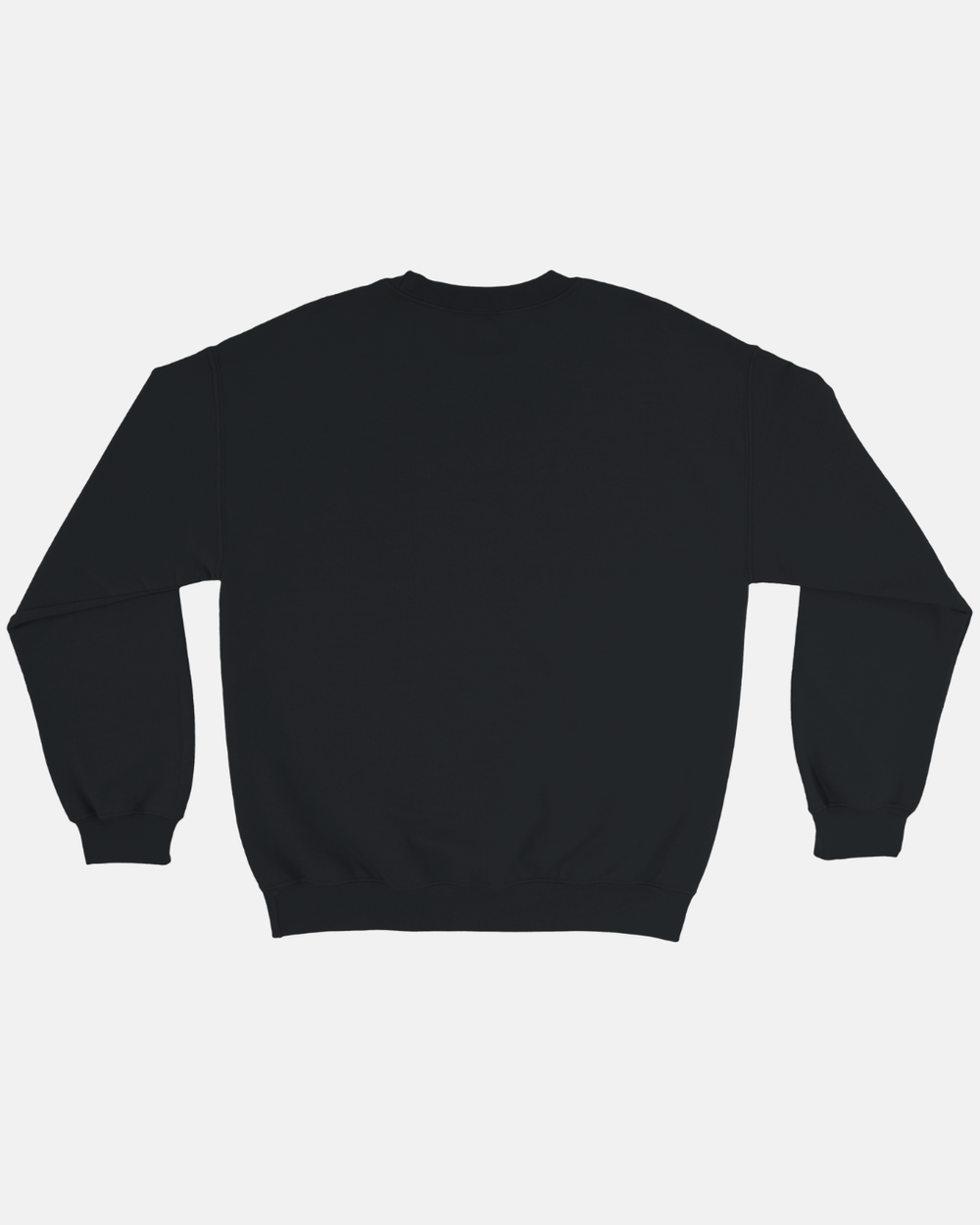 Back view of a black Nottingham Panthers Vintage Panther Graphic Sweatshirt in a classic fit, heavy blend, long-sleeved style.