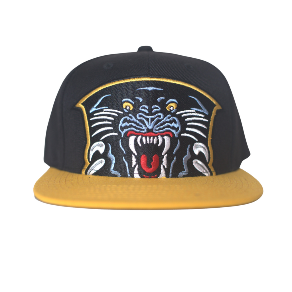 Panthers hats 2024 for sale