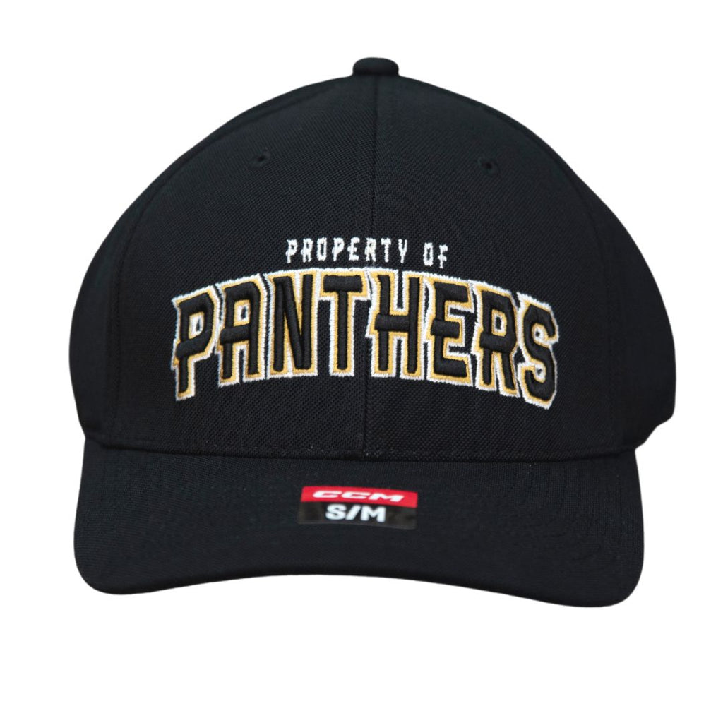 Panthers hats shop for sale